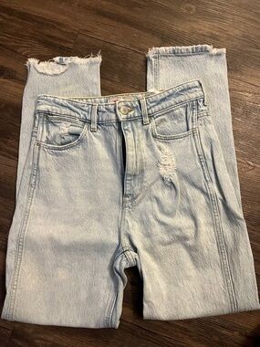 Wrangler Light Blue Cropped Distressed Ankle Jeans